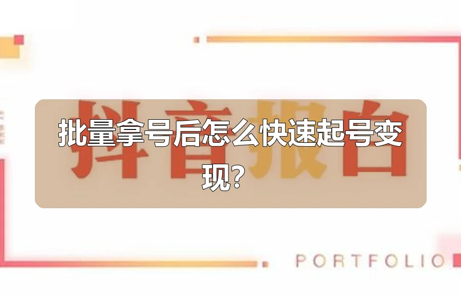 批量拿号后怎么快速起号变现?